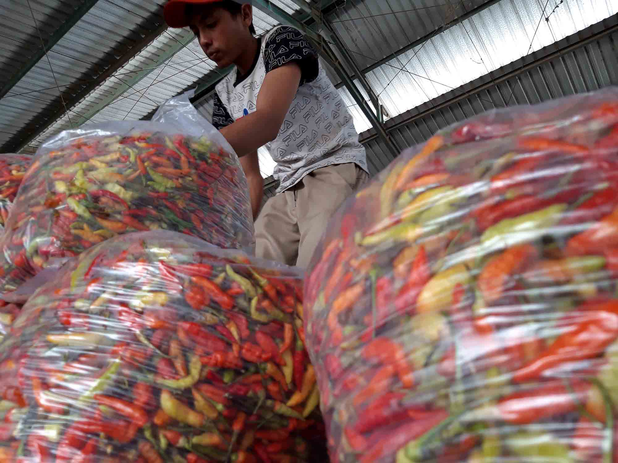 Pedagang cabai di pasar sayur Karangploso, Kabupaten Malang, Jawa Timur, beberapa waktu lalu. Foto: Tugusatu/Bagus Suryo