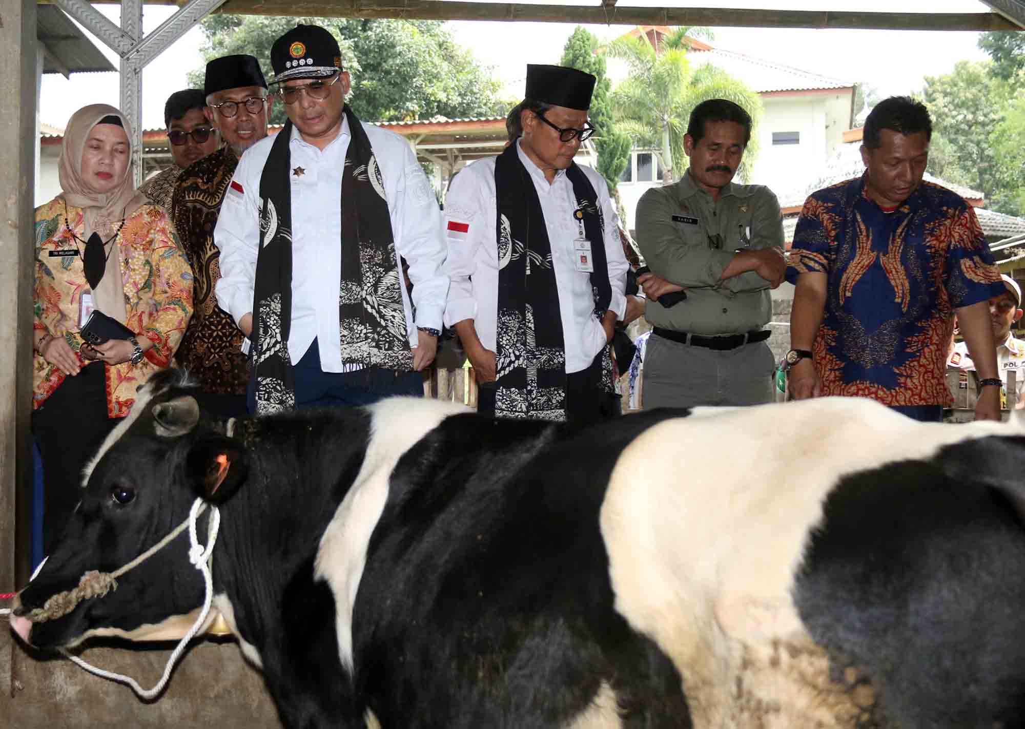 Wakil Menteri Pertanian (Wamentan), Harvick Hasnul Qolbi.