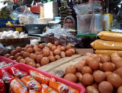 Harga Pangan Terkendali, Kota Malang Mengalami Deflasi