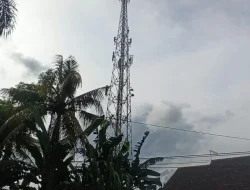 Trafik Smartfren Diprediksikan Naik 14% pada Lebaran 2024