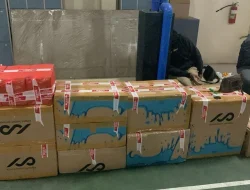 Bea Cukai Malang Berhasil Gagalkan Pengiriman Rokok Ilegal