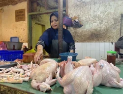 Harga Komoditas Pangan Naik pada Ramadan Dipicu Pasokan