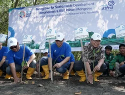Asuransi Astra Tanam 3.000 Pohon Mangrove di Yogyakarta