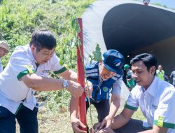 Komitmen Minimalkan Emisi Karbon, BLDF Tanam Trembesi di Tol Cisumdawu