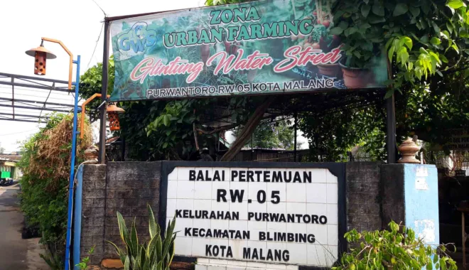 Urban Farming di Kampung Glintung Water Street, Kota Malang, Jawa Timur.
