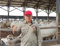 Tips Memilih Hewan Kurban yang Sehat