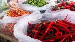 Harga Cabai Rawit Melonjak Awal Ramadan