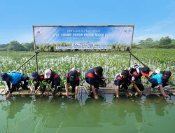 Restorasi Lingkungan, Alam Sutera Tanam 10.000 Bibit Mangrove