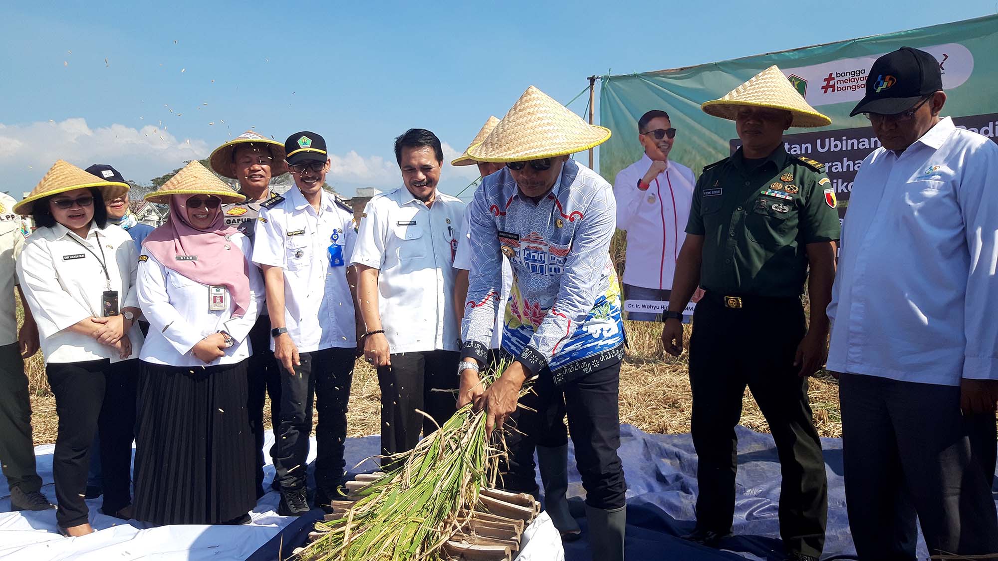 Penjabat Wali Kota Malang Wahyu Hidayat merontokkan gabah usai mengambil ubinan di Tasikmadu, Rabu (26/6). Tugusatu/Bagus Suryo