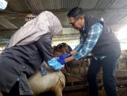 Pemkot Malang Pastikan Kesehatan Hewan Kurban