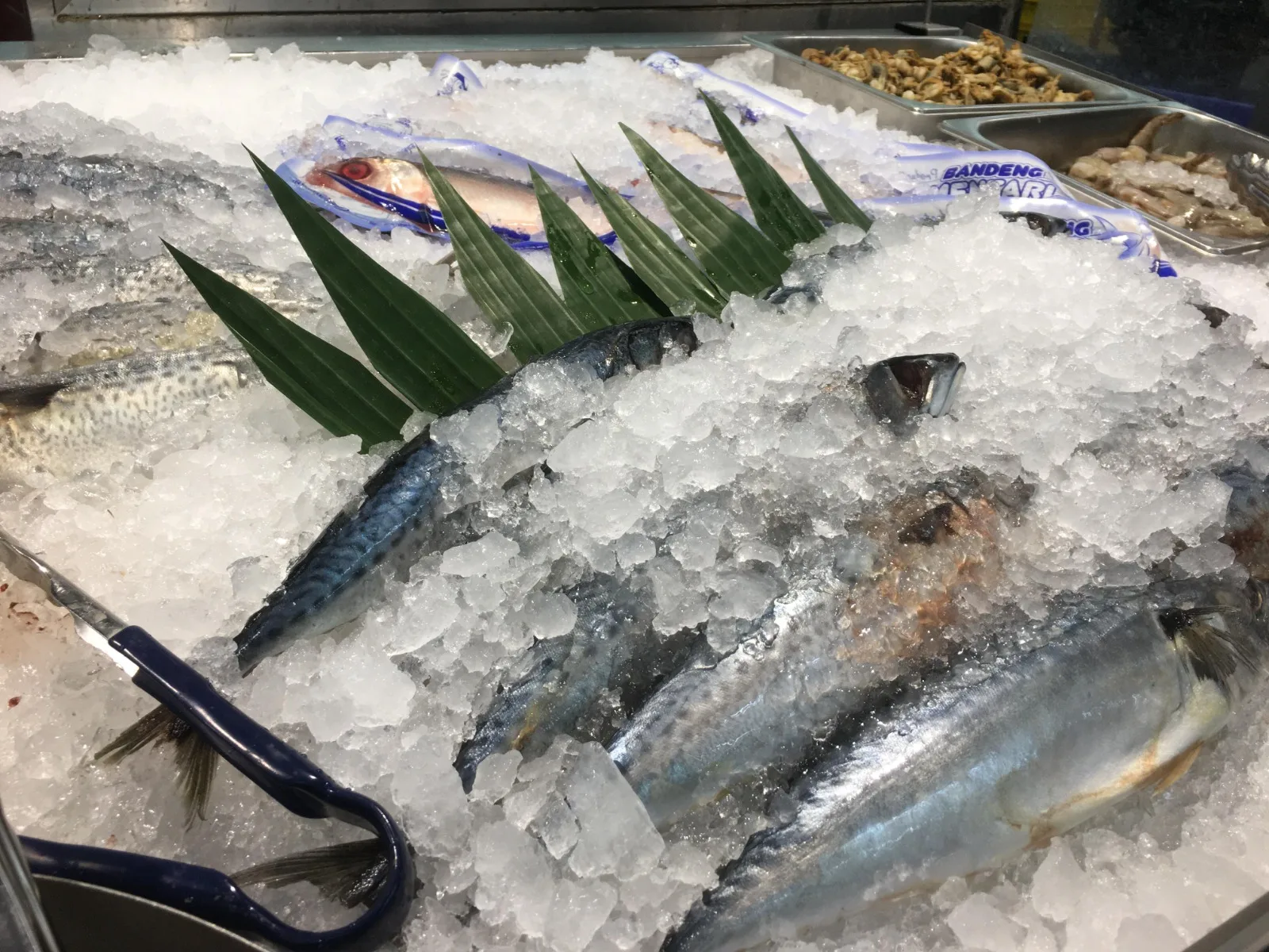 Ikan yang dibekukan. Ist