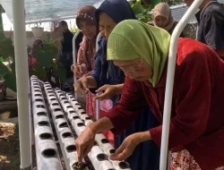 PKM UMM: Hydroponic Serenity Bisa Dimanfaatkan Turunkan Stres Lansia