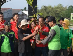 Peringati 25 Tahun, Alfamart Tanam 25.000 pohon