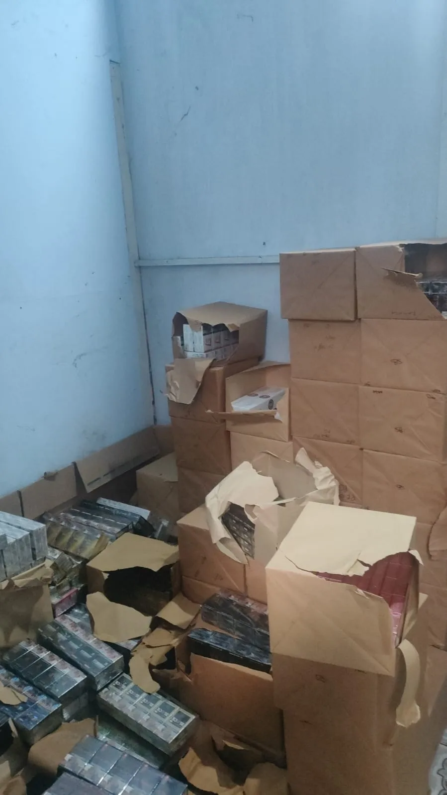 Rokok ilegal yang diamankan petugas Bea Cukai Malang. Istimewa