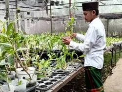 Pesantren Bahrul Maghfiroh Malang Kembangkan Lini Usaha Warung dan Perikanan