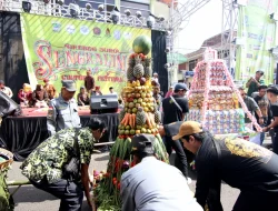 Warga Sengkaling Lestarikan Tradisi Arak Tumpeng dan Rebutan Gunungan Suro