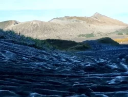 Suhu Dingin Ekstrem Munculkan Embun Upas di Gunung Bromo