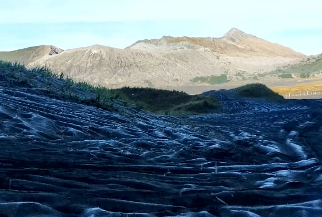 Fenomena embun es atau frost di Lautan Pasir Gunung Bromo. Masyarakat Tengger sering menyebut embun es tersebut sebagai embun upas. Foto: Dok. BB-TNBTS