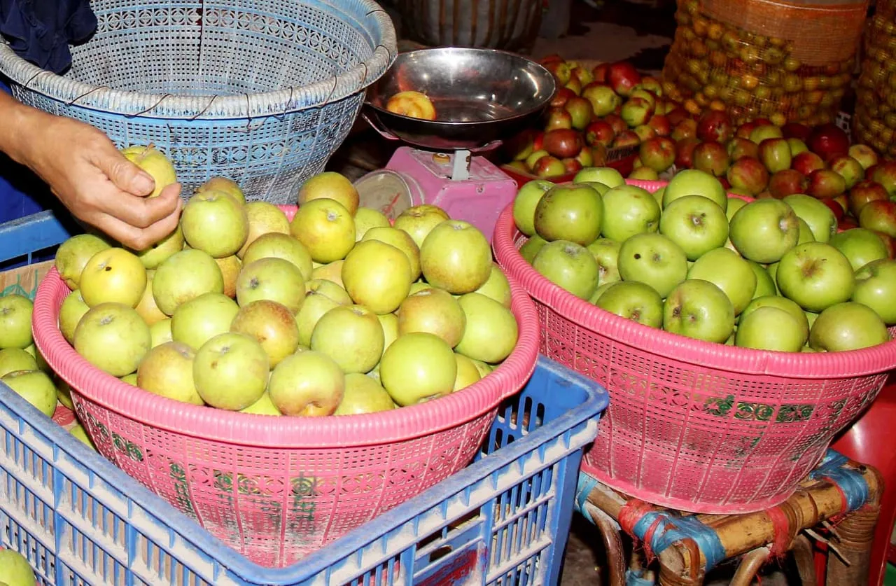 Buah apel Kota Batu