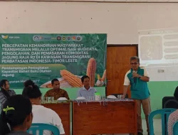 Varietas Jagung Raja R7 Hasil Pemulia UB Diujicoba di NTT