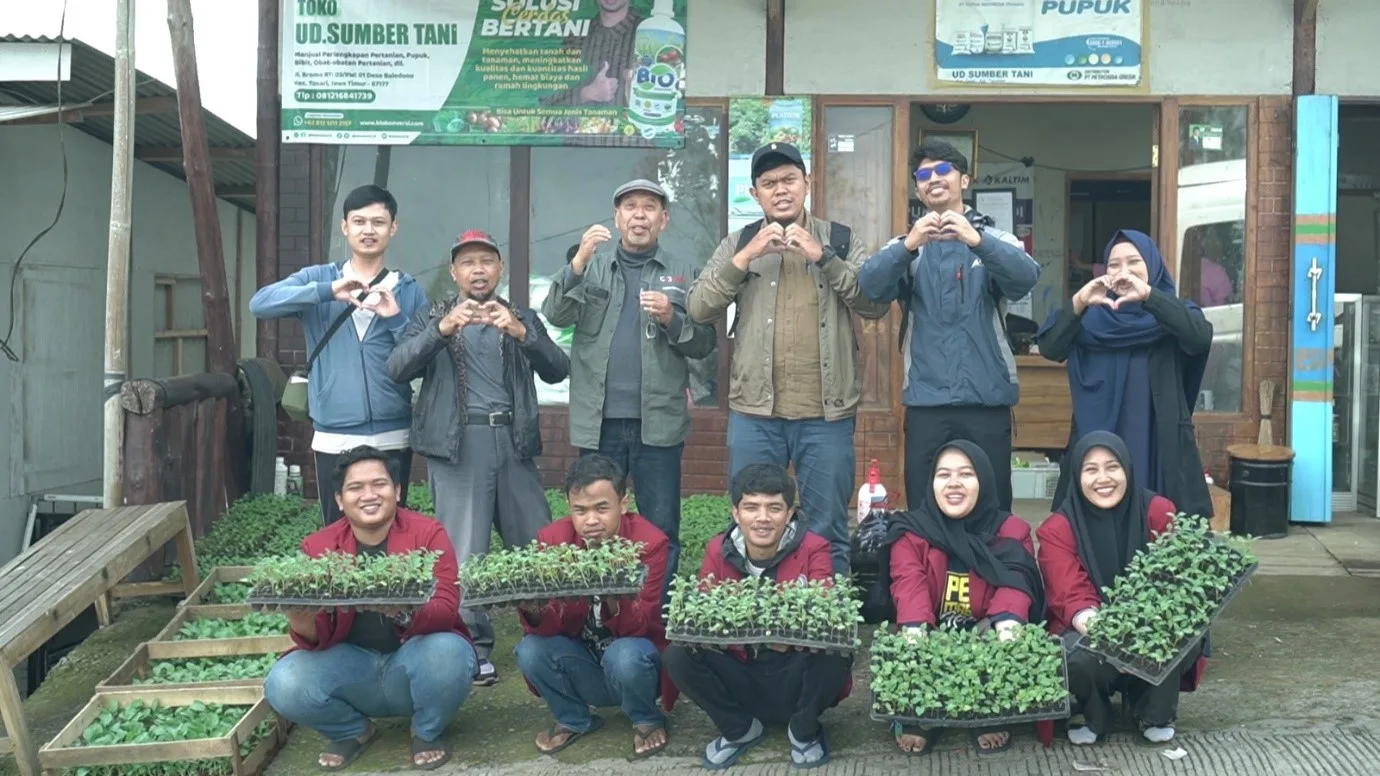 Pembibitan kentang dengan metode stek pucuk berakar. Istimewa