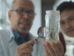 UMM Potato Seeds Diklaim Sukses Kembangkan Bisnis Benih Kentang