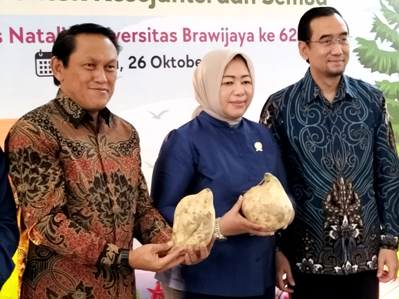 Kepala Dispangtan Kota Malang Slamet Husnan Hariyadi (kiri), Direktur Penganekaragaman Pangan Bapanas Rinna Syawal, dan Rektor UB Prof Widodo saat gerakan konsumsi pangan lokal, Sabtu (26/10). Foto: Tugusatu/Bagus Suryo