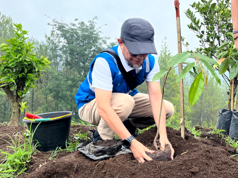 PLN Nusantara Power UP Brantas bersama Perusahaan Umum Jasa Tirta I (PJT I) melaksanakan Program Energizing Green Spaces menanam 5.000 bibit tanaman produktif. Foto: PLN NP UP Brantas
