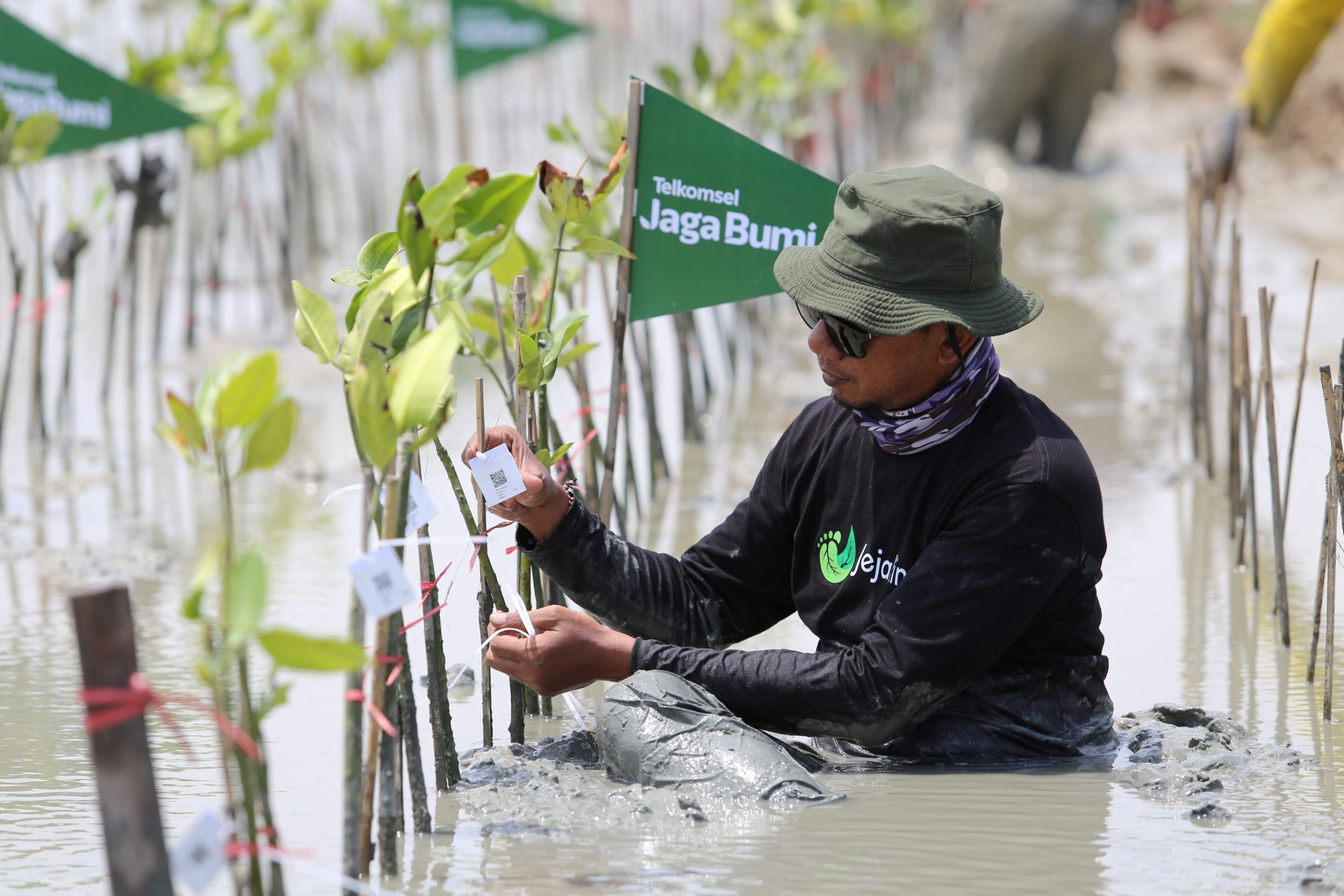 Hasil donasi Telkomsel Poin pelanggan dan kontribusi perusahaan dalam program Telkomsel Jaga Bumi Carbon Offset tahap kedua telah dikonversi menjadi 10.600 pohon mangrove. Istimewa