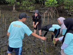 Libatkan Ratusan Pelajar, Prodi Kehutanan UMM Tanam 1.000 Mangrove di Probolinggo
