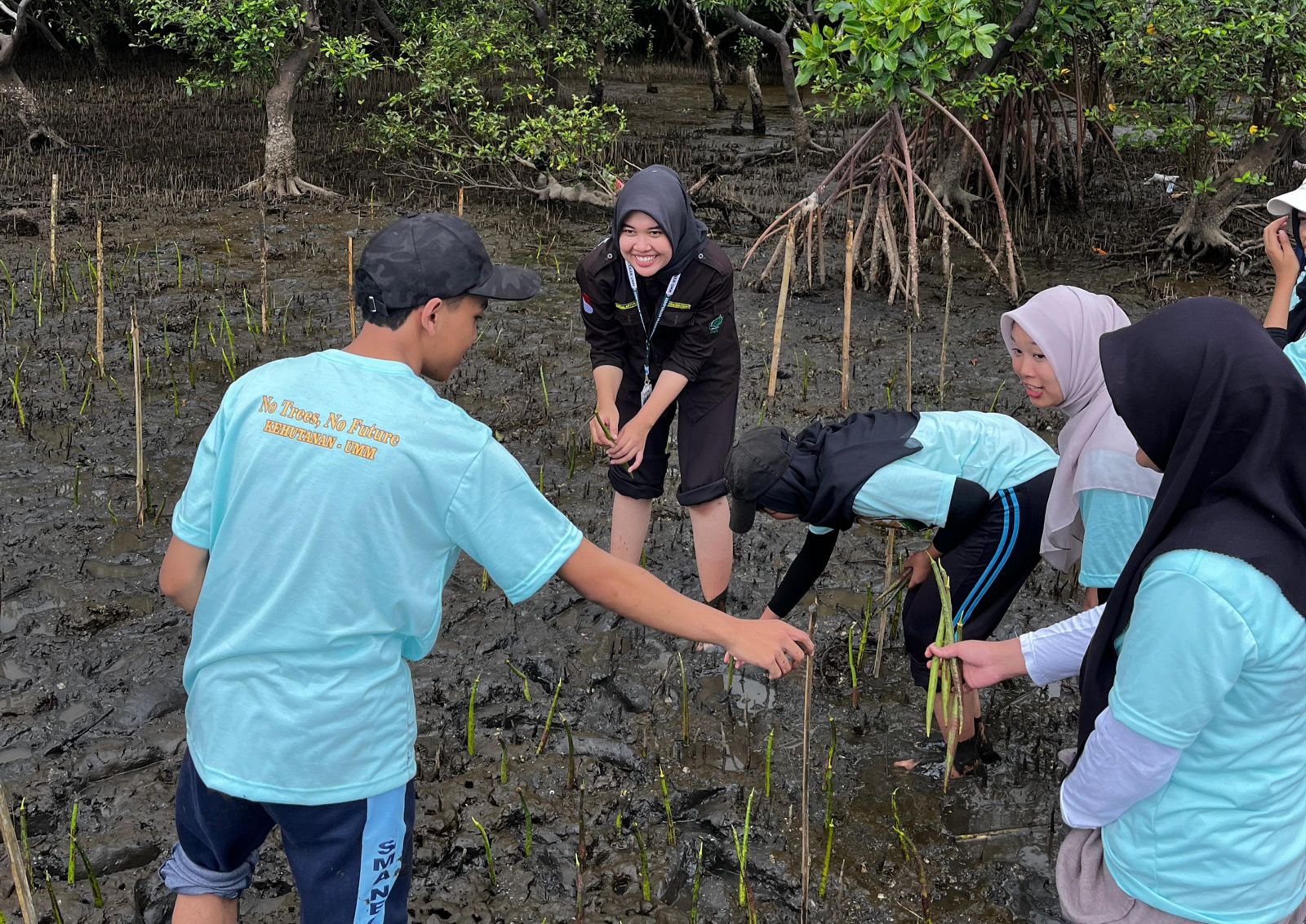 Para pelajar menanam mangrove di Probolinggo, Senin (9/12/2024). Istimewa