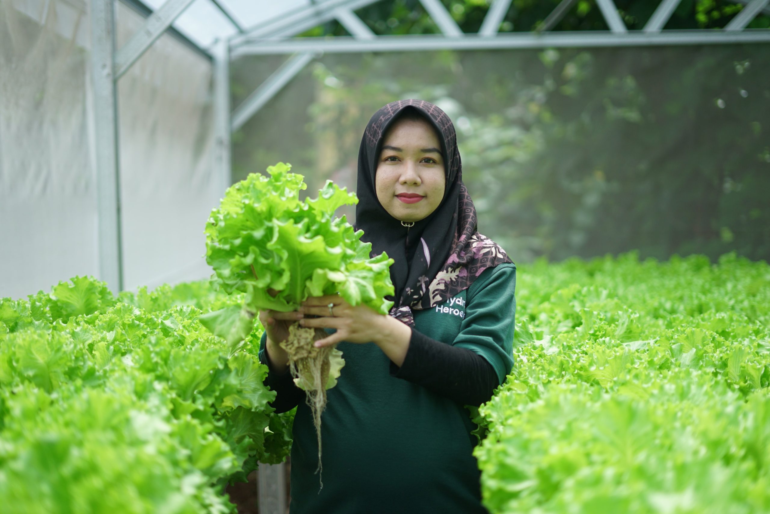 Salah satu peserta Sharp Hydro Heroes sedang menunjukan hasil panen selada. Istimewa