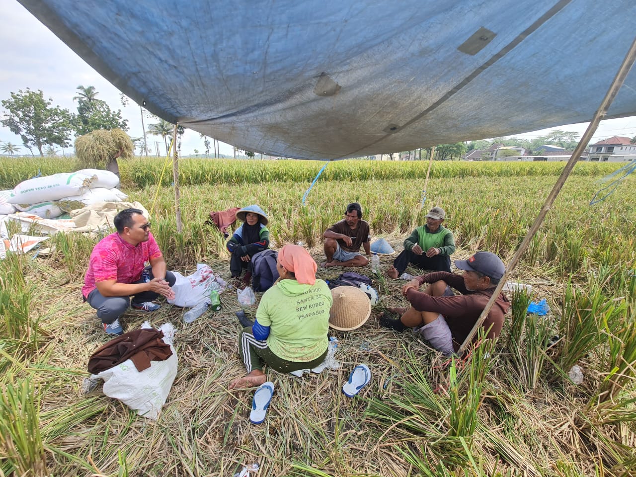 Pemimpin Cabang Bulog Malang, M. Nurjuliansyah Rachman (paling kiri)  turun ke lapangan untuk menyerap padi milik petani. Istimewa