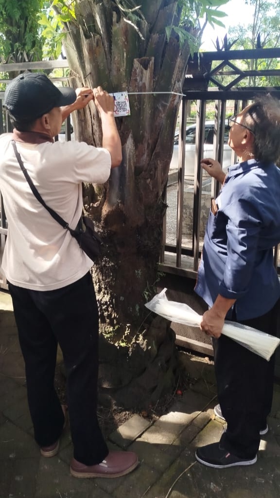 Pohon di Kota Malang dipasang QR Code sebagai implementasi digitalisasi pohon karya Fakultas Vokasi UB. Istimewa