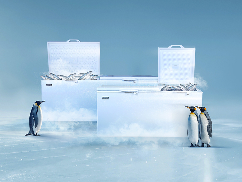 Chest Freezer terbaru dari MODENA. Istimewa