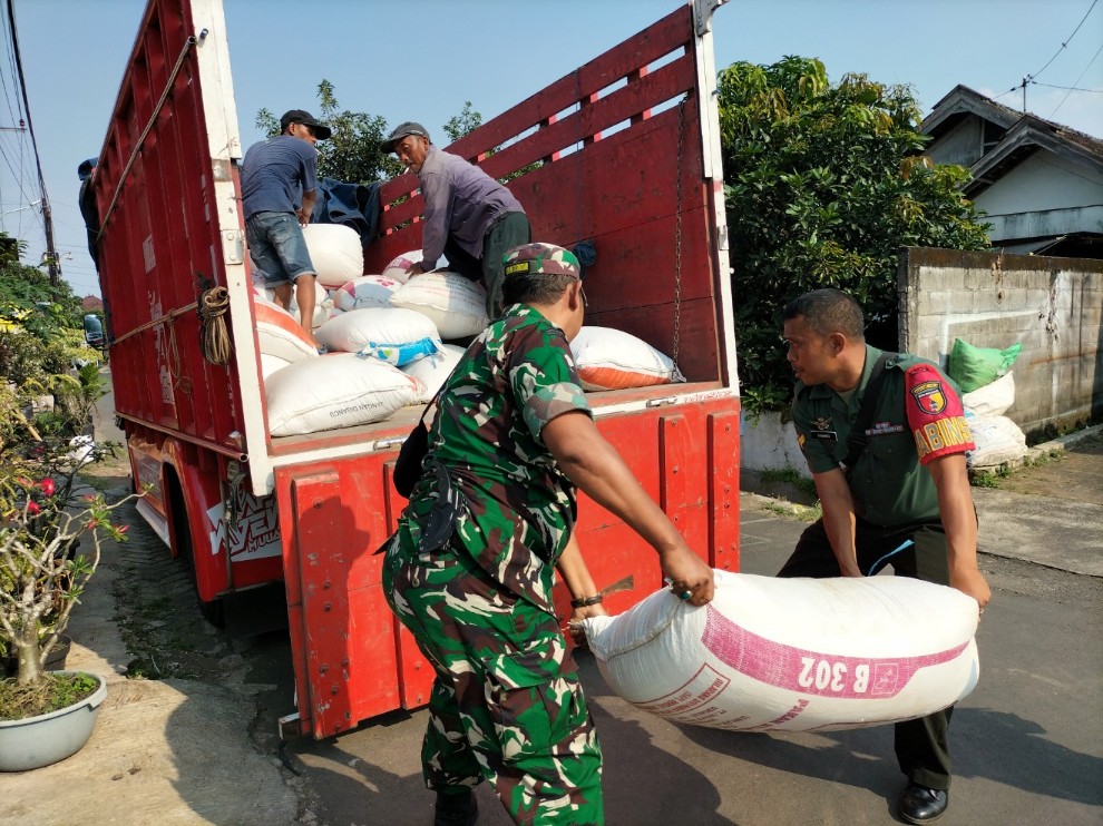Babinsa Tunjungtirto Sertu Sunarko dan Babinsa Randuagung Pelda Donny Isma Sepriyanto membantu petani mengangkut gabah saat Bulog menyerap gabah petani di Dusun Karangkunci, Desa Randuagung, Kecamatan Singosari, Kabupaten Malang, Rabu (30/4). Foto: Tugusatu/Bagus Suryo