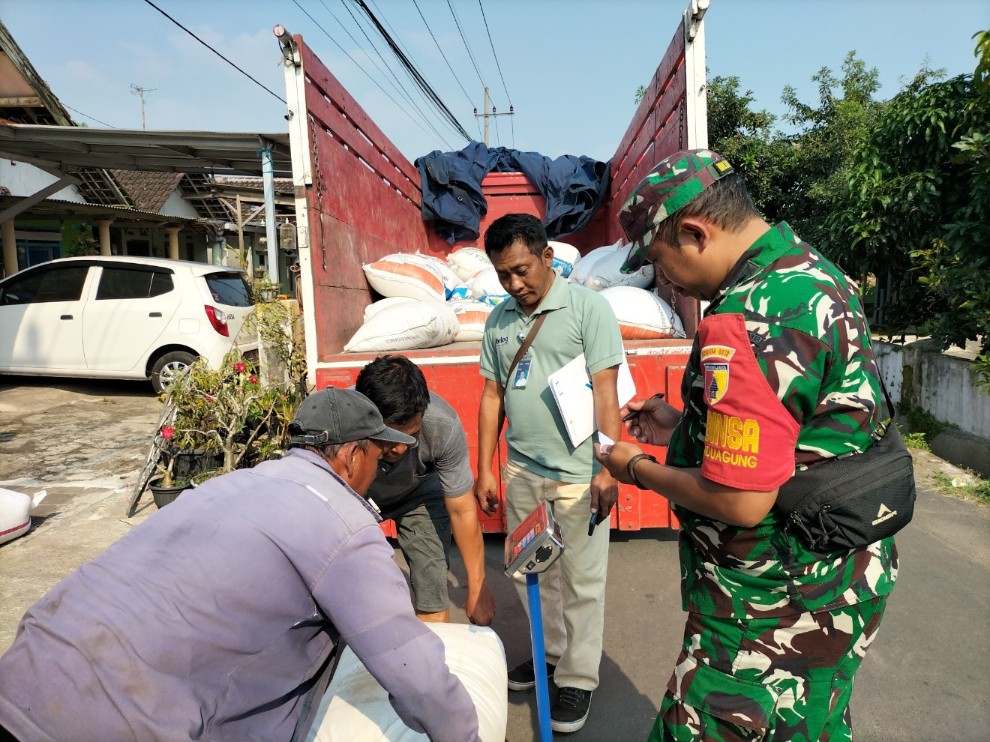 Petani di Desa Randuagung, Kabupaten Malang, Jawa Timur, menjual gabah kering panen ke Bulog sesuai HPP Rp6.500 per kg. Foto: Tugusatu/Bagus Suryo