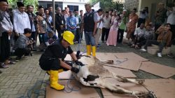 Juru Sembelih Halal (Juleha) di Malang Raya belajar teknik menyembelih hewan kurban di Fakultas Kedokteran Hewan Universitas Brawijaya, Malang, Jawa Timur. Foto: Tugusatu/Bagus Suryo