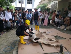 Kedokteran Hewan Universitas Brawijaya Sebar Relawan Iduladha di Jatim