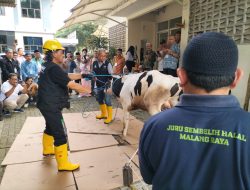 Perumda Tunas Kota Malang Targetkan RPH Layani Pemotongan 270 Hewan Kurban