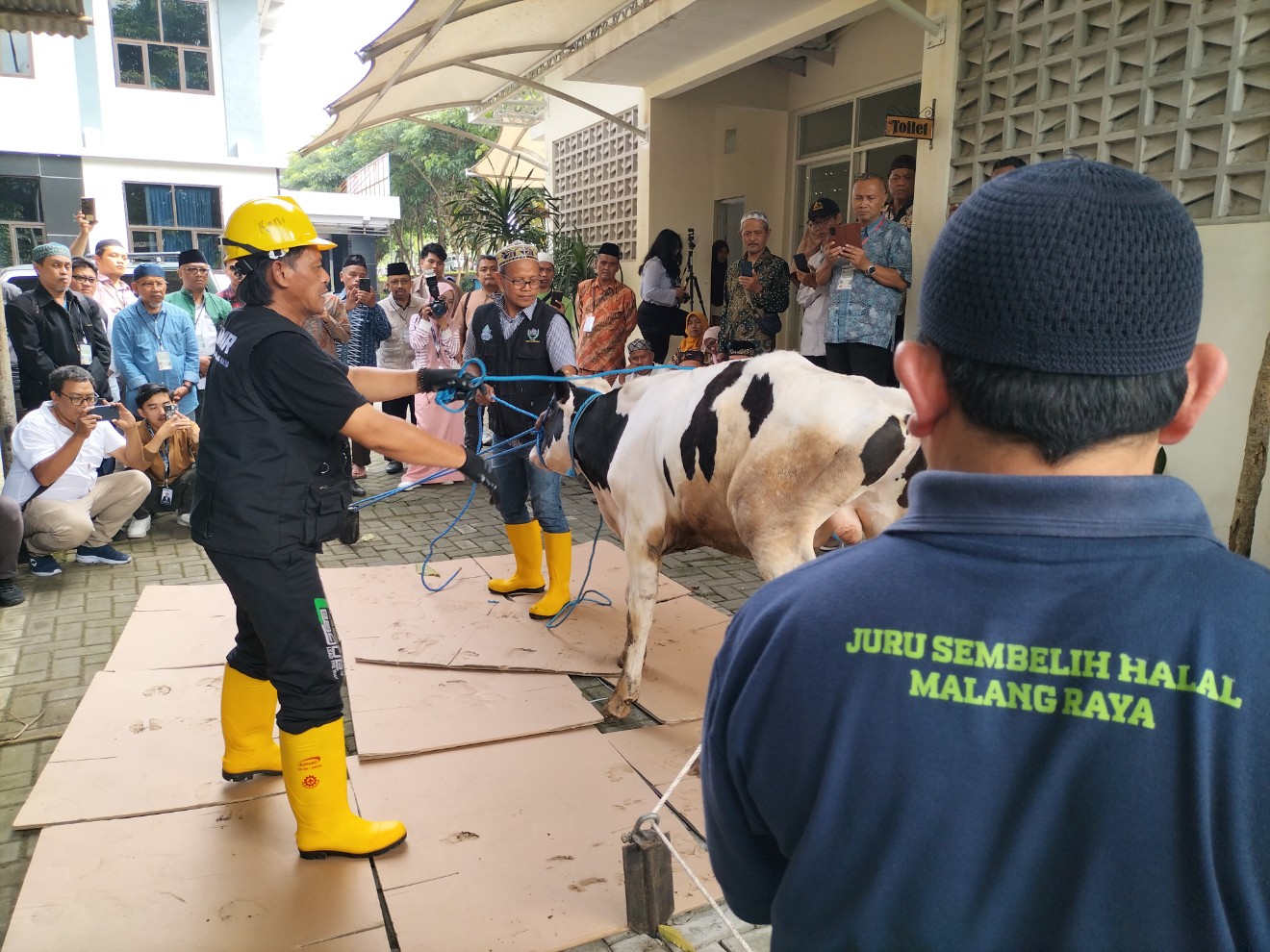 Akademisi Fakultas Kedokteran Hewan Universitas Brawijaya, Malang, Jawa Timur, sedang mengajari takmir Majid cara tepat menyembelih hewan sesuai prosedur berbasis sains. Foto: Tugusatu/Bagus Suryo