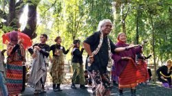 Ketua Komunitas Budaya Jowo Line Dance, Kota Malang, Jawa Timur, Rinto Syah menari bersama para pegiat seni dan budaya di Hutan Kota Malabar. Foto: Tugusatu/Bagus Suryo