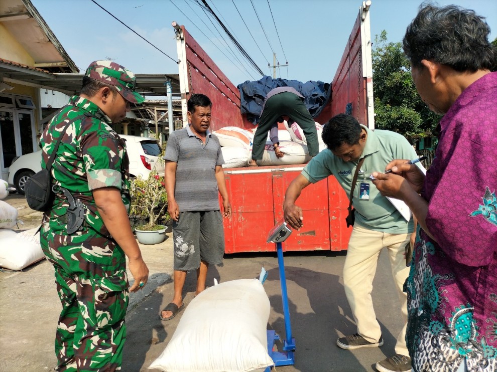 Petani di Desa Randuagung, Kabupaten Malang, Jawa Timur, menjual gabah kering panen Rp6.500 per kg atau sesuai harga pembelian pemerintah ke Bulog Malang. Foto: Tugusatu/Bagus Suryo