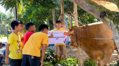 Memperingati Hari Raya Iduladha 1446 H, PLN Nusantara Power UP Brantas Salurkan Hewan Kurban