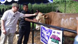Iduladha 1446 H, JNE dan TIKI  Kurbam 74 ekor sapi dan 139 ekor  kambing . Istimewa