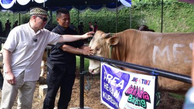 Iduladha 1446 H, JNE dan TIKI  Kurban 74 ekor sapi dan 139 ekor  kambing  