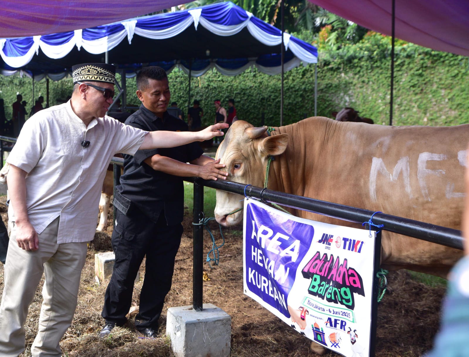 Iduladha 1446 H, JNE dan TIKI  Kurbam 74 ekor sapi dan 139 ekor  kambing . Istimewa