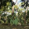 Riwayat Kebon Rodjo Bersalin Citra Hutan Kota Malabar