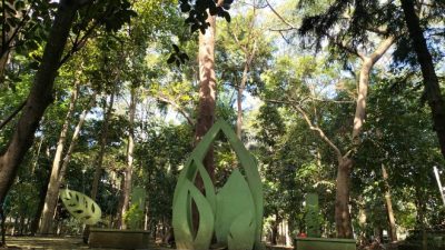 Riwayat Kebon Rodjo Bersalin Citra Hutan Kota Malabar