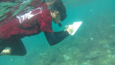 FPIK UB Pantau Pemutihan Karang di Tiga Pesisir Jawa Timur
